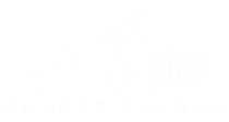 A-PLUS logo_2